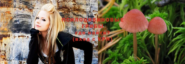 прущая мука Сосновка