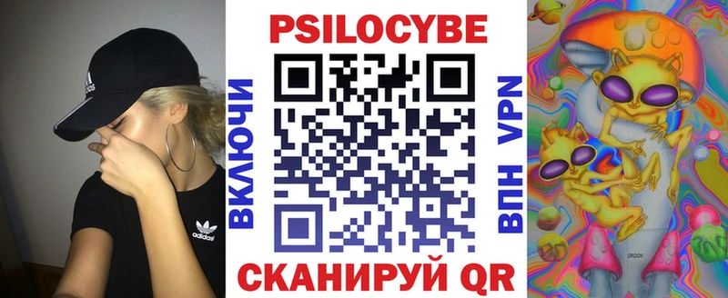 Купить где  Павловская  Галлюциногенные грибы Psilocybe 